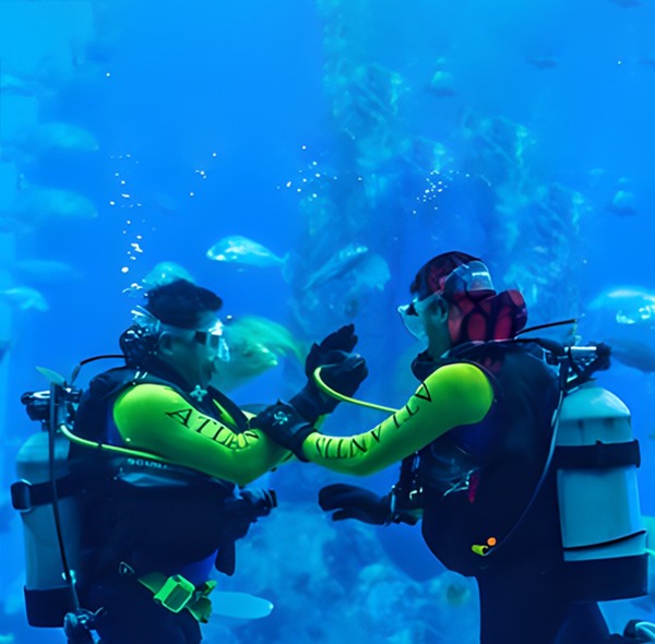 Scuba Diving Dubai